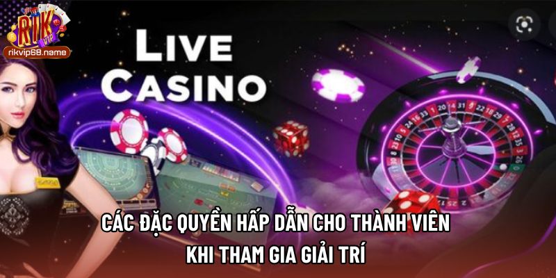 Các đặc quyền hấp dẫn cho thành viên khi tham gia giải trí 