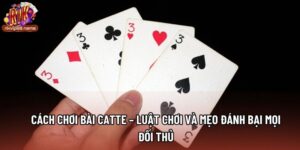 Cách Chơi Bài Catte – Luật Chơi Và Mẹo Đánh Bại Mọi Đối Thủ