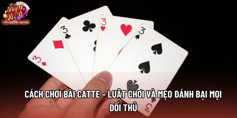 Cách Chơi Bài Catte – Luật Chơi Và Mẹo Đánh Bại Mọi Đối Thủ