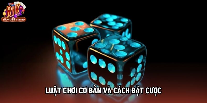 Luật chơi cơ bản và cách đặt cược